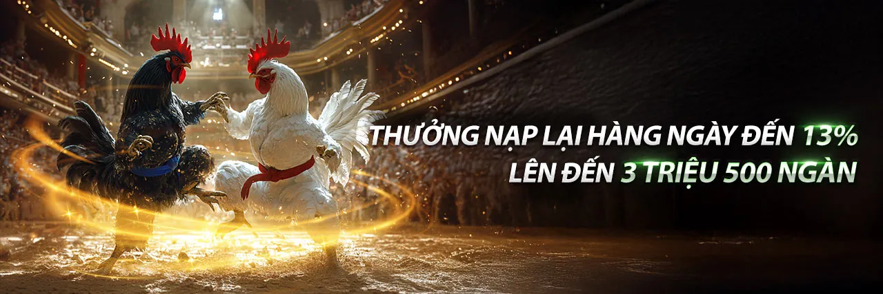 Đá Gà Thomo Trực Tiếp 2026